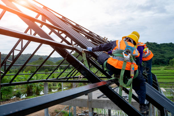 Best Metal Roofing Contractor  in Paintsville, KY